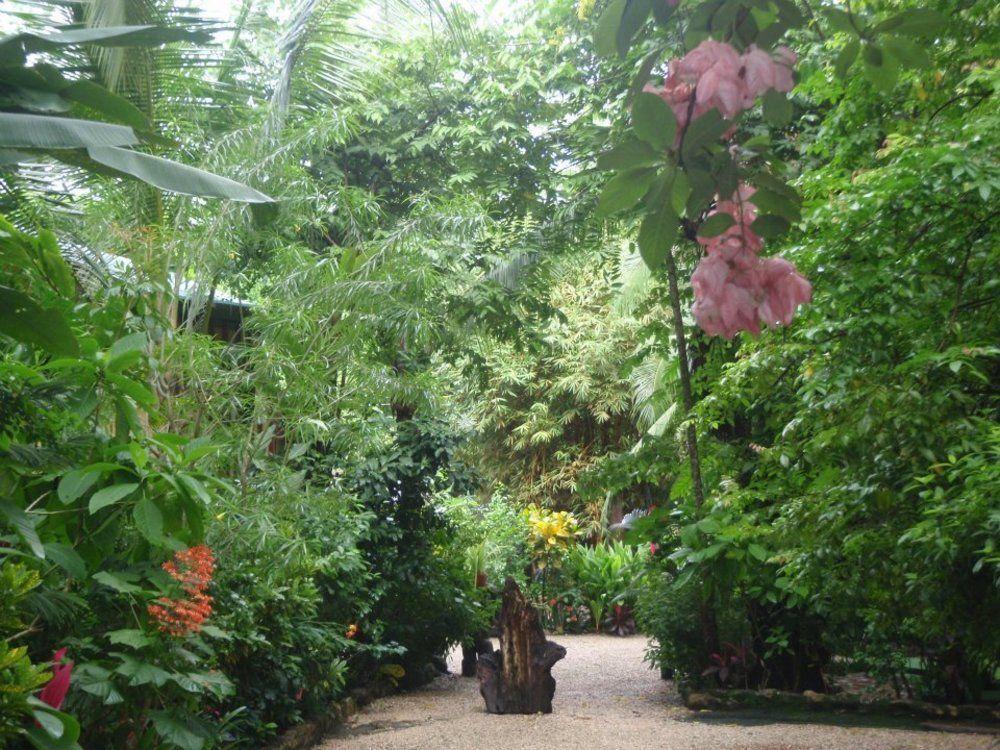 Pachamama Tropical Garden Lodge Маль-Паіс Екстер'єр фото